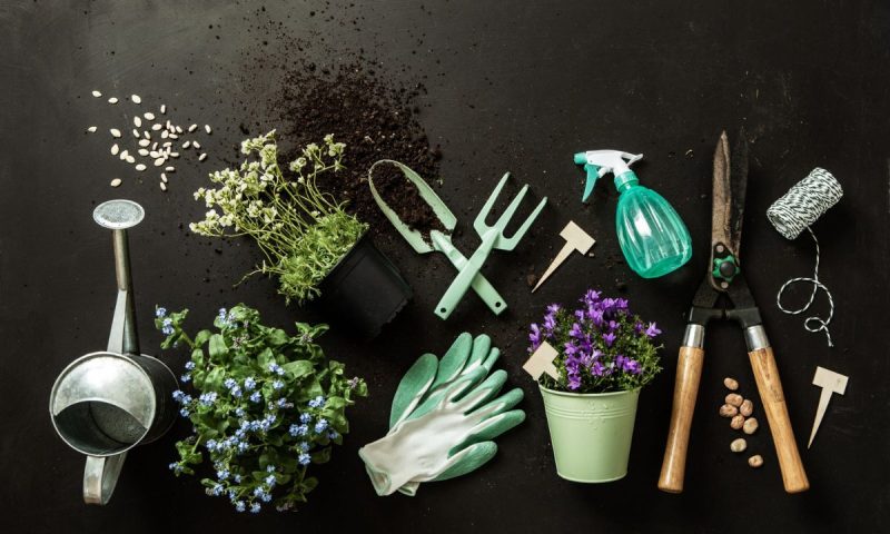 Comment choisir les matériaux et les plantes pour réduire les dépenses de jardinage ?