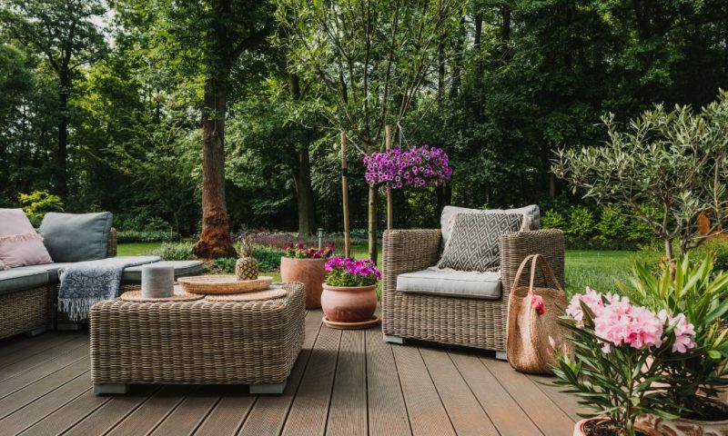 Des astuces pour choisir les meilleures plantes pour accompagner votre salon de jardin