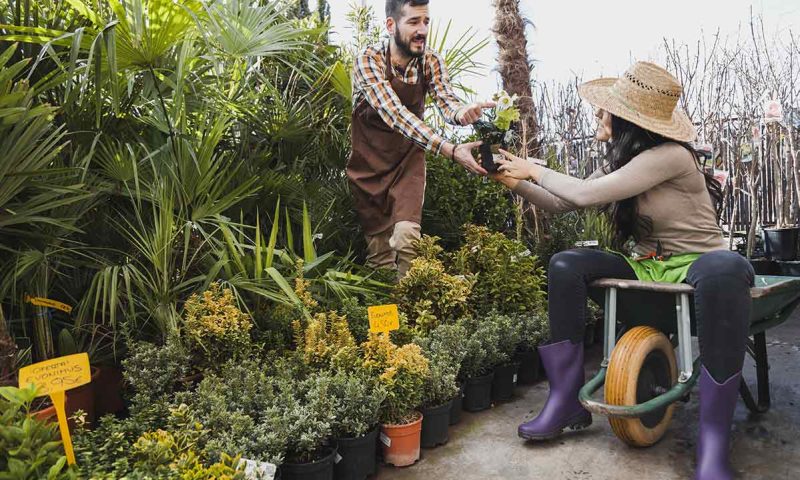 Les dépenses cachées à éviter lors de la création d’un jardin