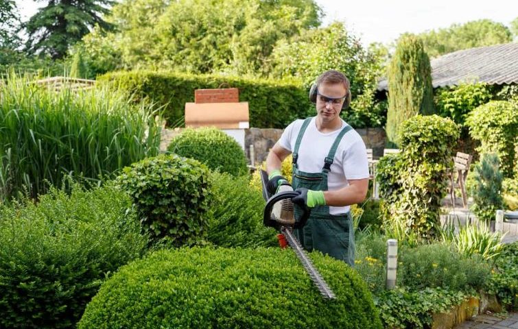 Les étapes essentielles pour un entretien de jardin réussi toute l’année