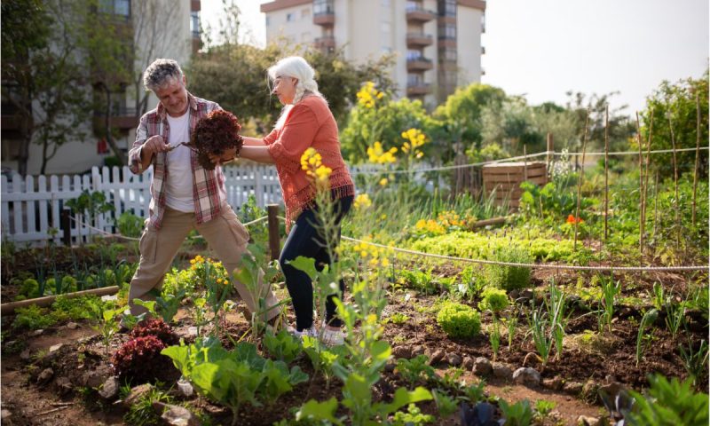 Quel type de jardin adopter pour sublimer votre extérieur : potager ou fleuri ?