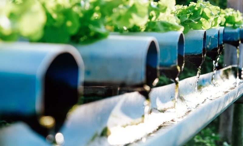 Utiliser l’eau de pluie pour l’irrigation de votre jardin : un geste écologique et économique