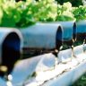 Utiliser l’eau de pluie pour l’irrigation de votre jardin : un geste écologique et économique