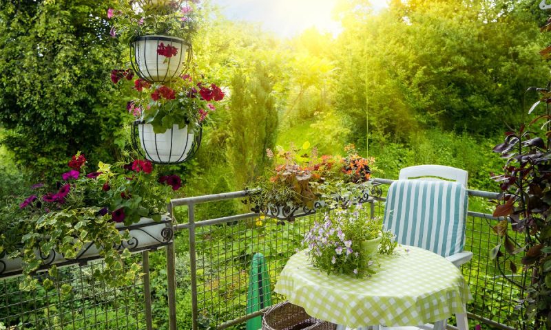 Terrasse et jardin : comment créer une transition harmonieuse ?